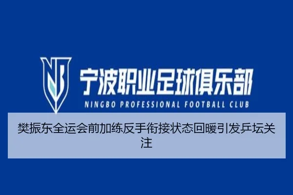 樊振东全运会前加练反手衔接状态回暖引发乒坛关注